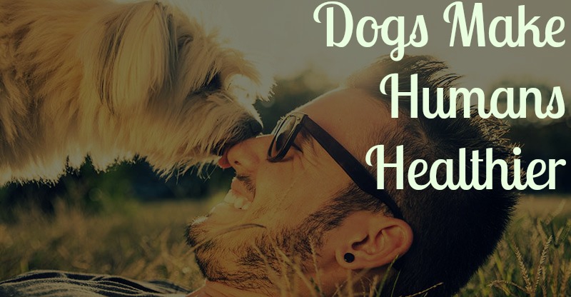 Dogs Make Humans Healthier