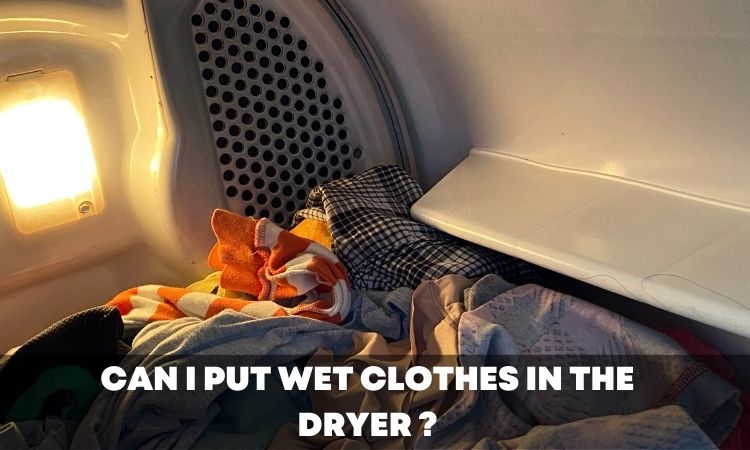 Can I put wet clothes in the dryer ?