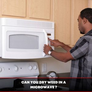 Can you dry weed in a microwave ?
