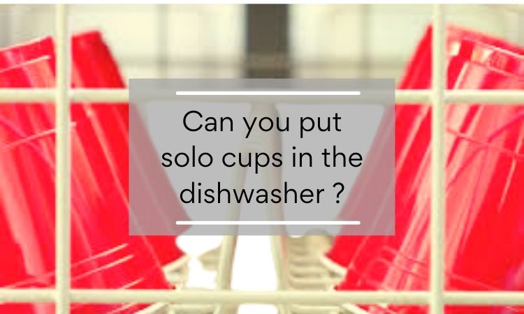 Can you put solo cups in the dishwasher ?